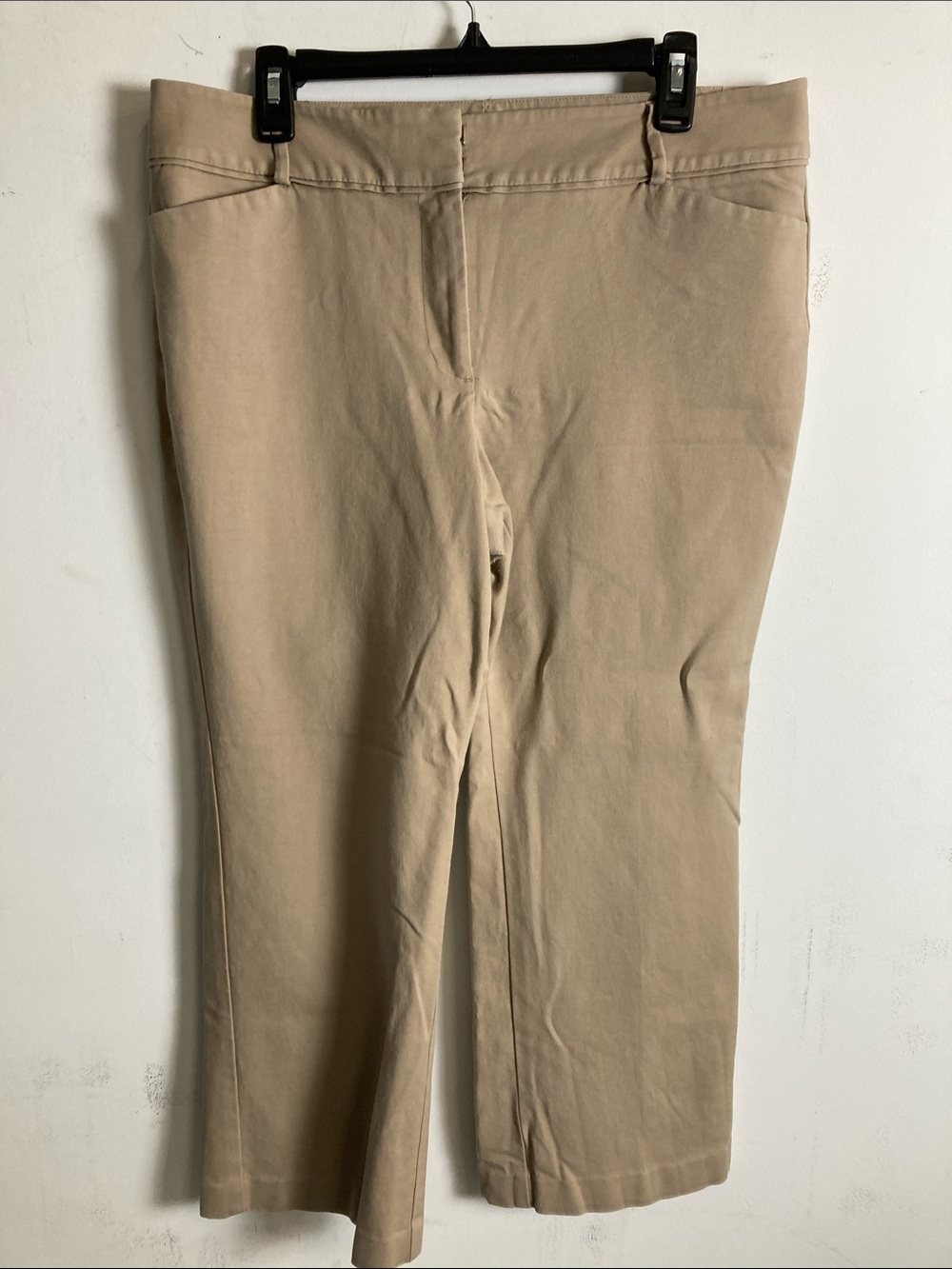 Ann Taylor Men's Khaki Stretch Chinos in Light Tan